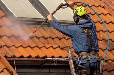 Démoussage et hydrofuge de toiture à Chanay